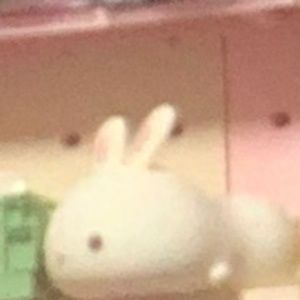 Meet your Posher, Chan